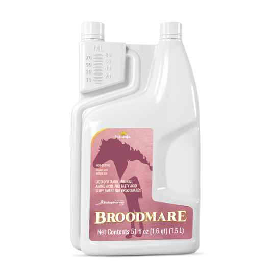 Broodmare - 1.5L Bottle