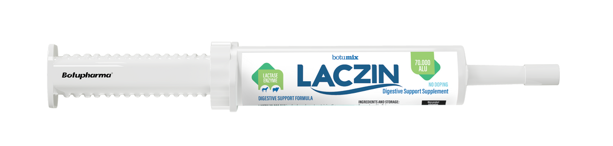 Laczin - Paste 35g